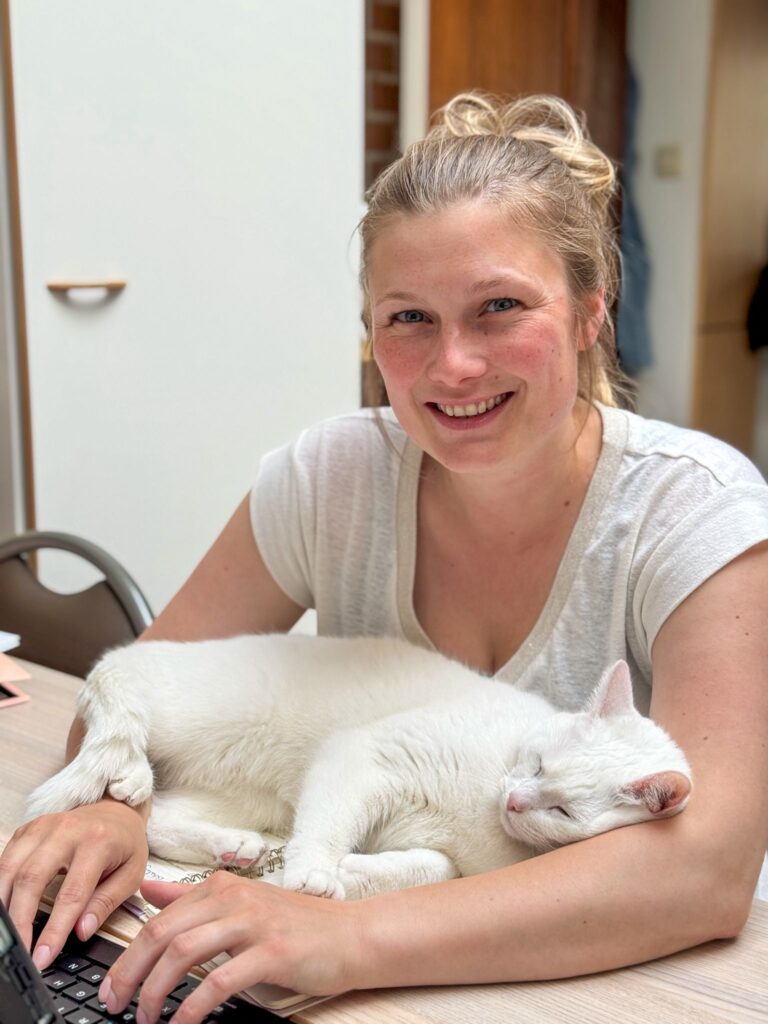 VZW Chamour, goed doel om geld in te zamelen voor kattenasielen