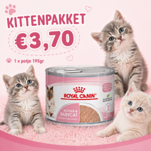 Kittenpakket 1