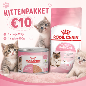 Kittenpakket 2