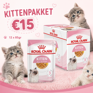 Kittenpakket 3
