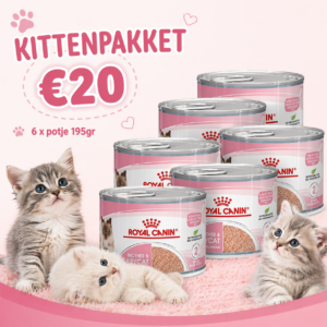 Kittenpakket 4