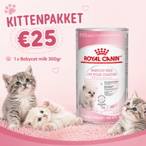 Kittenpakket 5