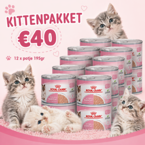 Kittenpakket 6